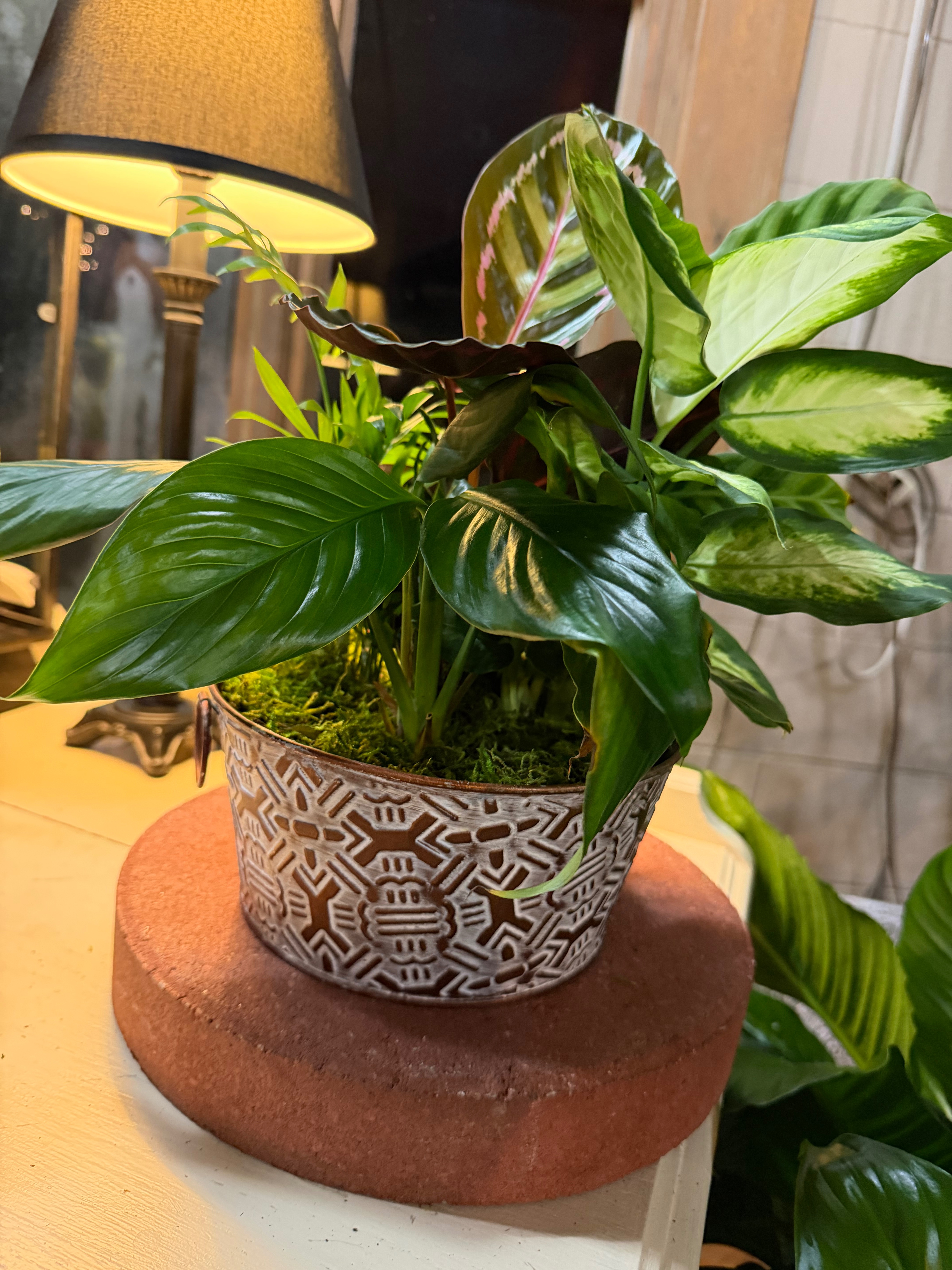 Mixed Planter Mixed Planter