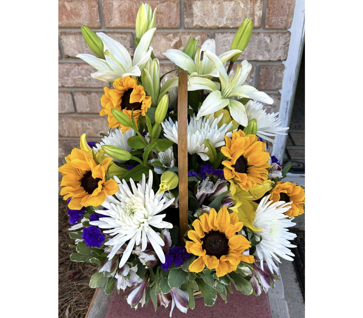 Sunny Basket Sunny Basket