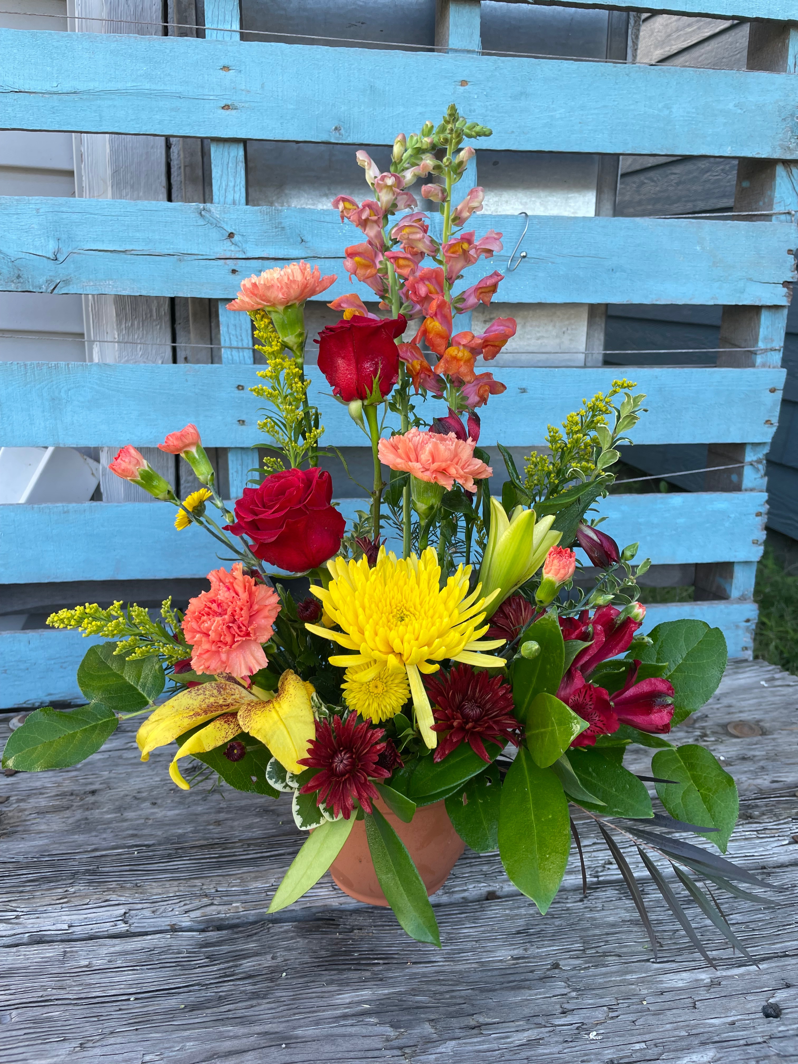 Red orange and yellow sympathy Red orange and yellow sympathy