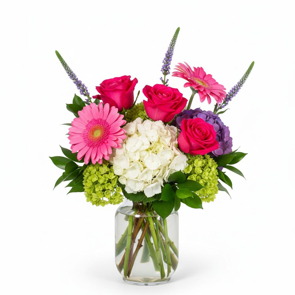 Blushing Hydrangea Blushing Hydrangea