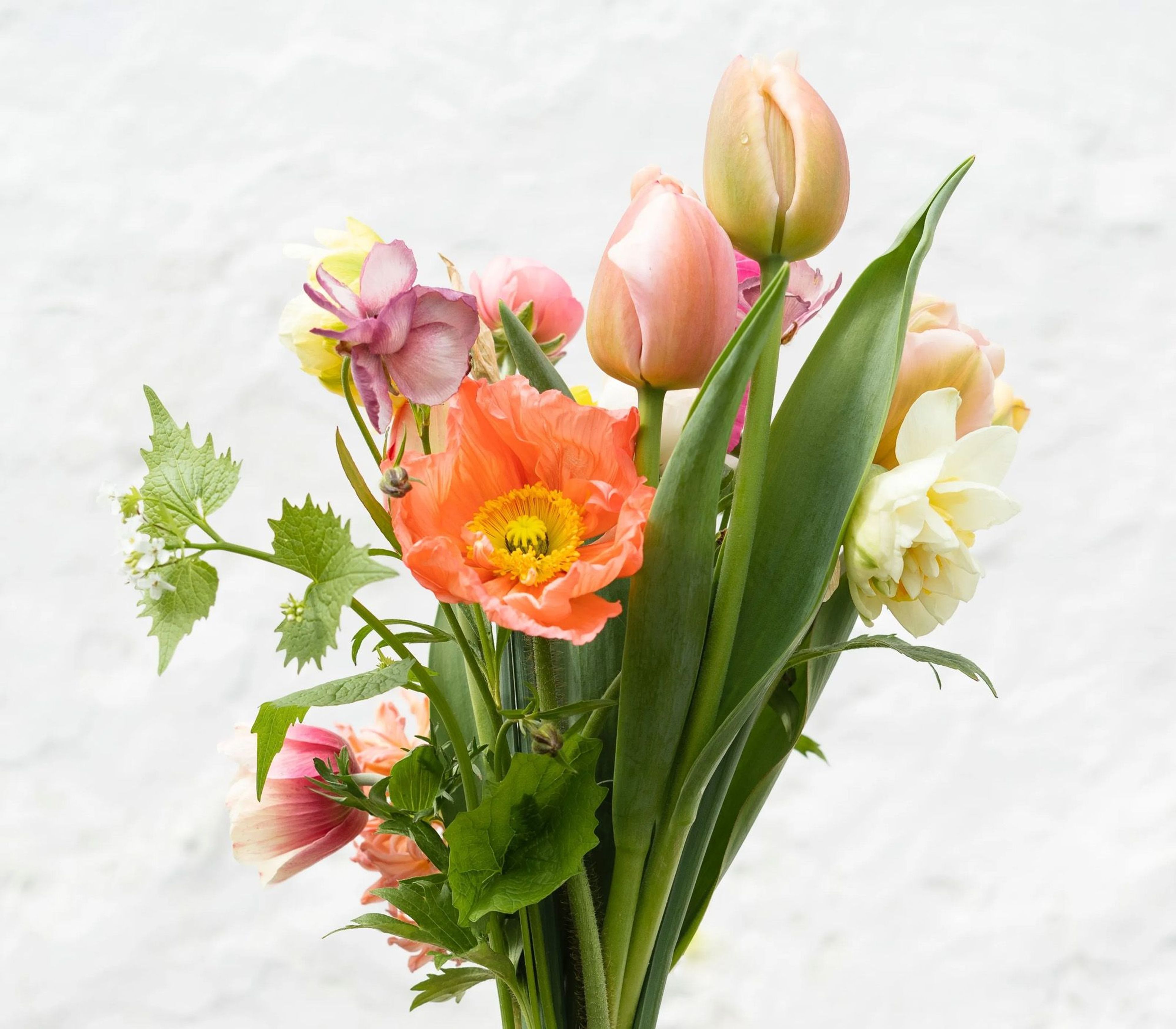 Featured flowers Featured flowers