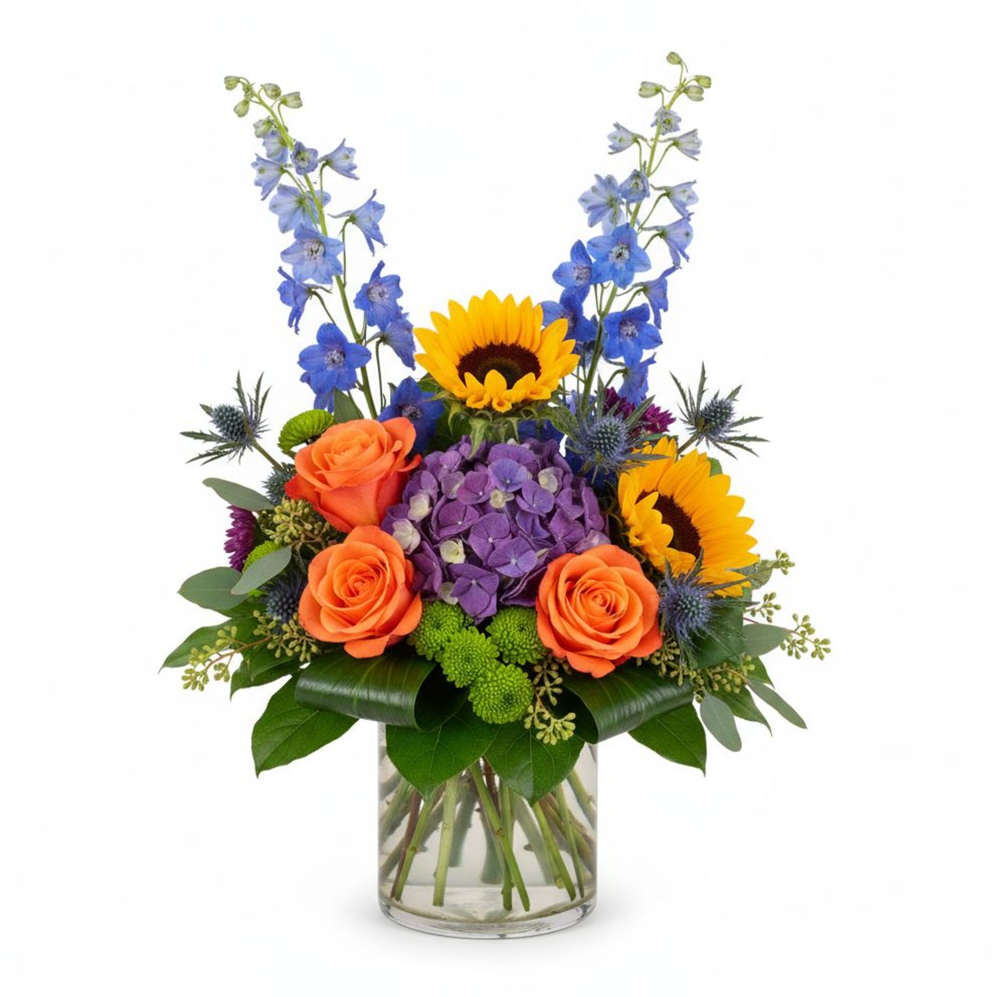 Blue Sky & Sunshine Blue Sky & Sunshine