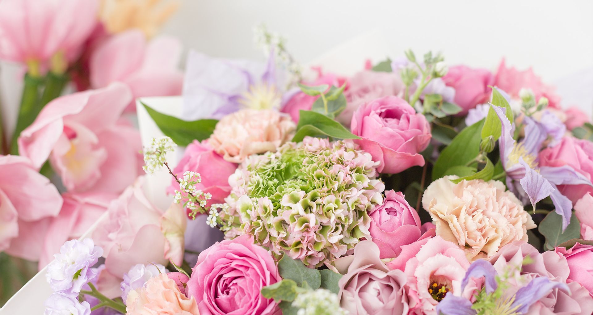 Spring Flowers collection