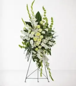 Splendid Life Spray Splendid Life Spray